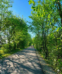 4217 Douro Trail, Westfield - 30