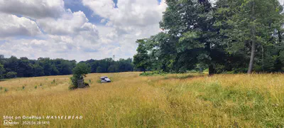 11182 County Road 280, Westport - 13