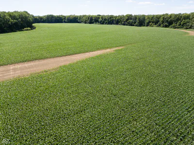 0 E State Road 44, Franklin - 12