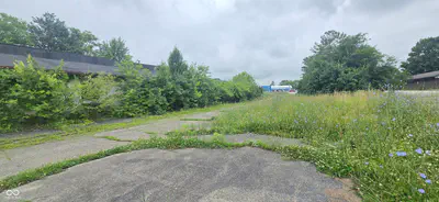 1817 Park Avenue, Alexandria - 8