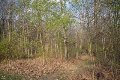 5275 Wilbur Road, Martinsville - 31