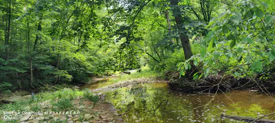 11182 County Road 280, Westport - 26