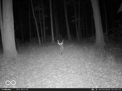 0 575, Markleville - 27