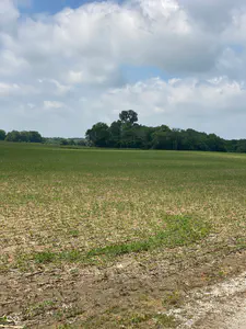 TBD State Road 236, North Salem - 6