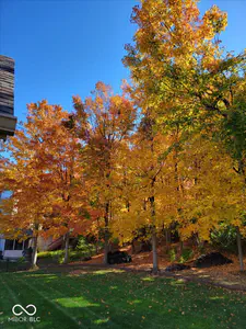 11691 Diamond Pointe Court, Indianapolis - 60