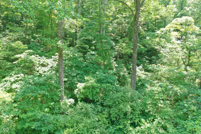 0 Parkwood East Drive, Martinsville - 5