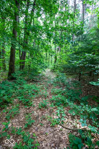 12368 Upas Road, Plymouth - 75