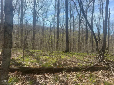 4100 Block of Lower Schooner Road, Nashville - 21