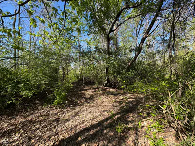 0 Travis Road, Greenwood - 11