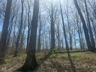 4100 Block of Lower Schooner Road, Nashville - 16