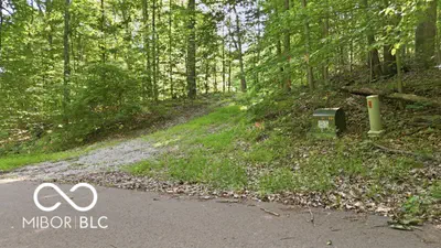 7746 Tunnel Road, Unionville - 6