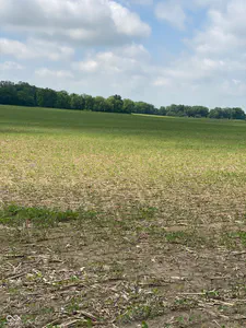 TBD State Road 236, North Salem - 7