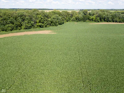 0 E State Road 44, Franklin - 7