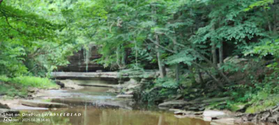 11182 County Road 280, Westport - 4