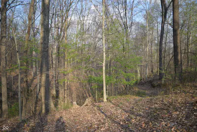5275 Wilbur Road, Martinsville - 32
