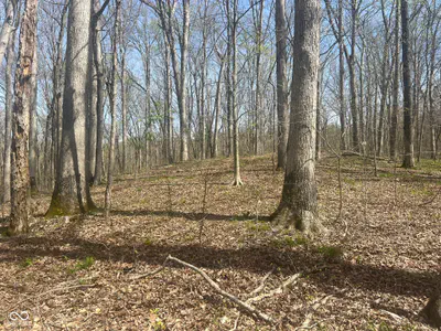4100 Block of Lower Schooner Road, Nashville - 10