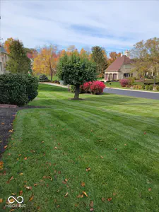 11691 Diamond Pointe Court, Indianapolis - 74