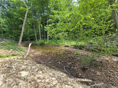 0 Blue Barn Road, Bloomfield - 21