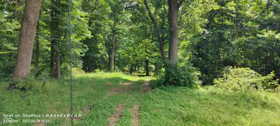 11182 County Road 280, Westport - 15