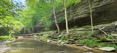 11182 County Road 280, Westport - 5
