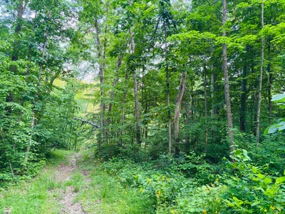 0 Laurel Road, Laurel - 6