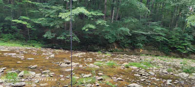 11182 County Road 280, Westport - 20