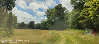 11182 County Road 280, Westport - 11