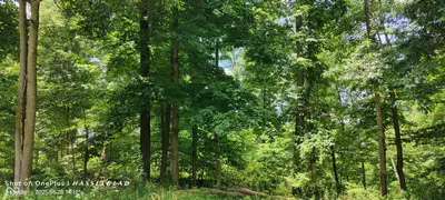 11182 County Road 280, Westport - 10