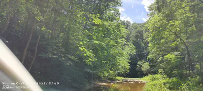 11182 County Road 280, Westport - 27