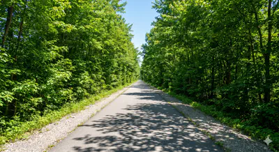 4217 Douro Trail, Westfield - 29