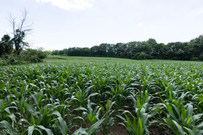 0 E State Road 44, Franklin - 17