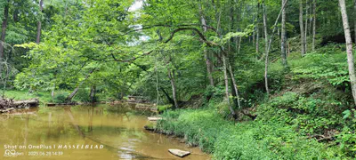 11182 County Road 280, Westport - 22