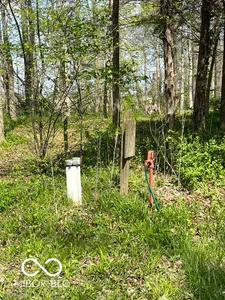 7642 County Road 350, Shirley - 64