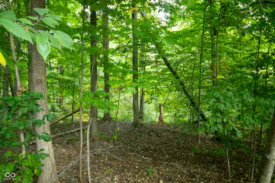 13562 Creekridge Lane, Fishers - 21