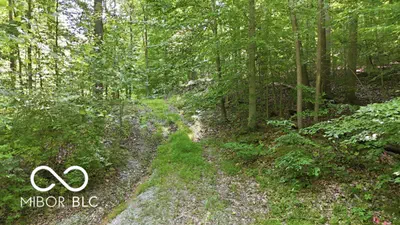 7746 Tunnel Road, Unionville - 10