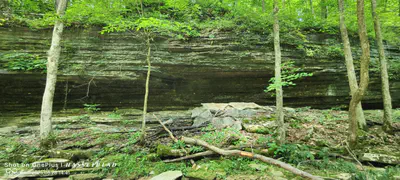 11182 County Road 280, Westport - 18