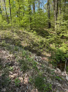 00 Straight Line Road, Coal City - 5
