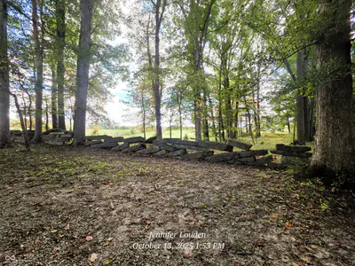 11182 County Road 280, Westport - 39
