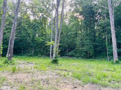 0 Laurel Road, Laurel - 3