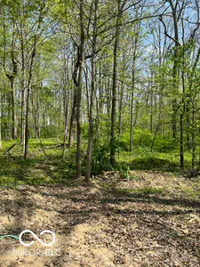 7642 County Road 350, Shirley - 57