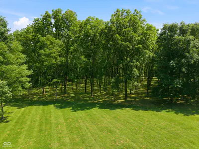 3269 County Road 225, Danville - 55