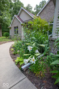 12368 Upas Road, Plymouth - 11