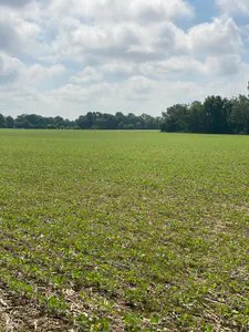 TBD State Road 236, North Salem - 2