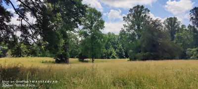 11182 County Road 280, Westport - 14