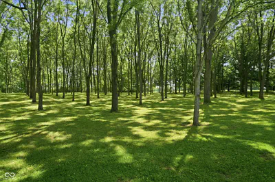 3269 County Road 225, Danville - 45