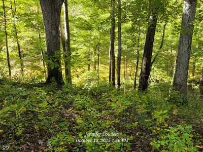 11182 County Road 280, Westport - 43