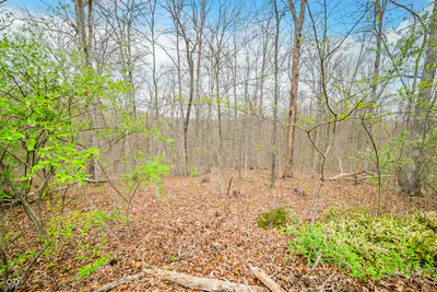 4100 Block of Lower Schooner Road, Nashville - 6