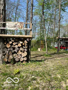 7642 County Road 350, Shirley - 37