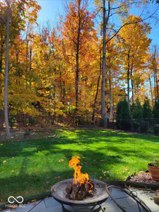 11691 Diamond Pointe Court, Indianapolis - 59