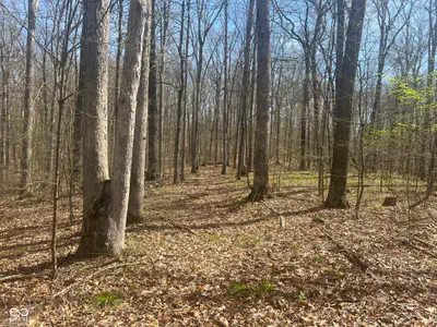 4100 Block of Lower Schooner Road, Nashville - 22